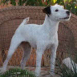 Meet your Posher, Robbin